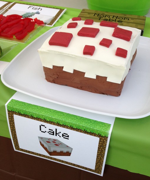 An Epic Minecraft Birthday Party (with Games and 