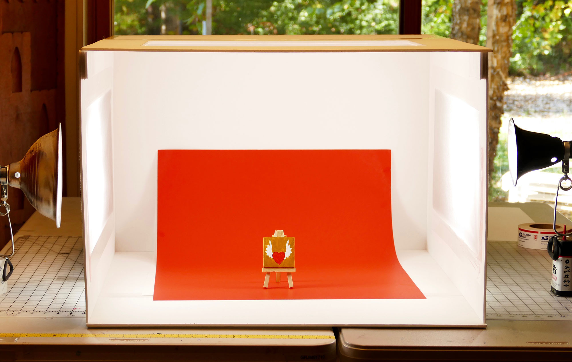 DIY Lightbox for Expert Photos that Wow! Step-by-Step ...