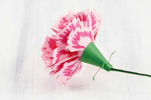 https://jennifermaker.com/wp-content/uploads/2017/02/paper-carnation-flower-profile-510x340.jpg