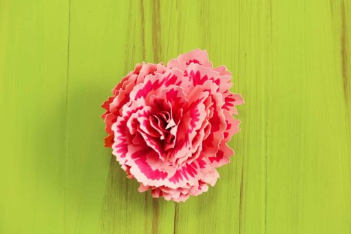 Rolled Paper Carnation | Quilled Flower | JenuineMom.com