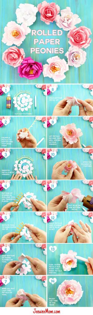 Rolled Paper Peony Flower | Quilled Flower | DIY Paper Flowers