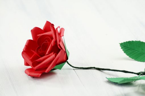 Rolled Paper Rose Flower | Quilled Flower | JenuineMom.com