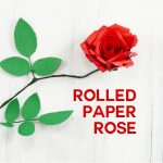 Rolled Paper Rose Flower | Quilled Flower | JenuineMom.com