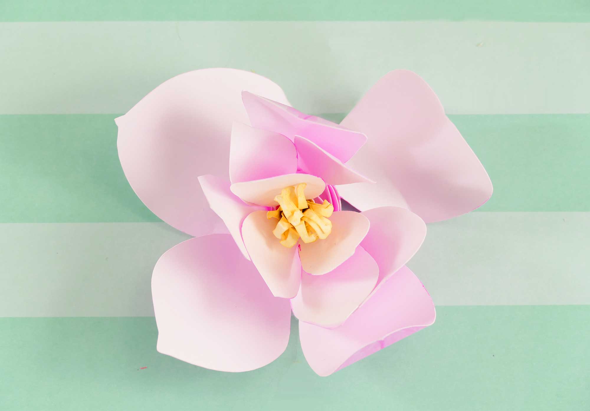 diy-paper-magnolias-will-brighten-your-day-jennifer-maker