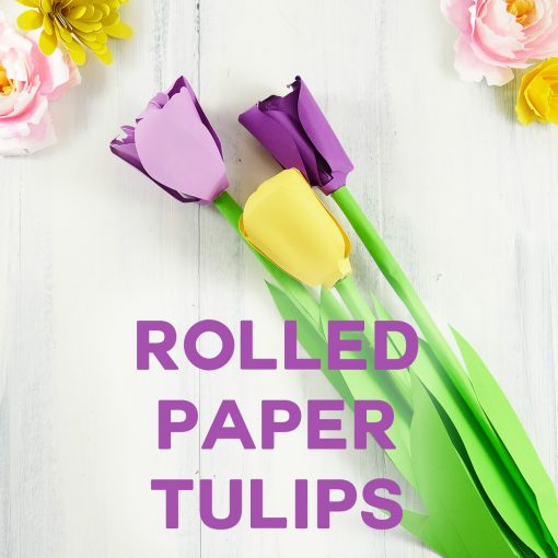 Paper Tulip | Rolled Flower | Quilling | JenniferMaker.com