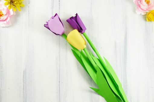 Paper Tulip | Rolled Flower | Quilling | JenniferMaker.com