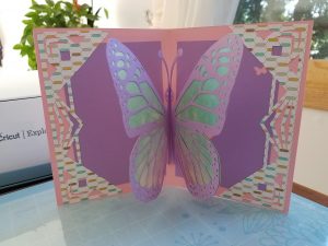 Giant Paper Butterfly: The Glasswing - Jennifer Maker