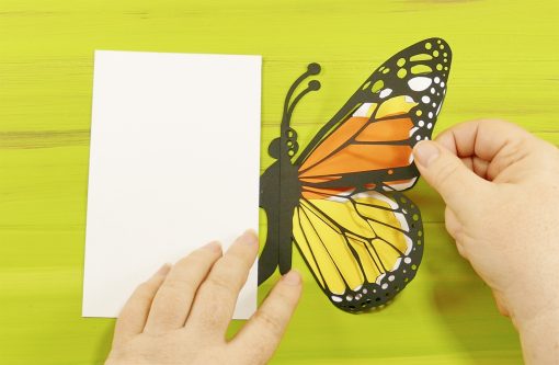 Download Easy Butterfly Card Diy Pop Up Tutorial Jennifer Maker