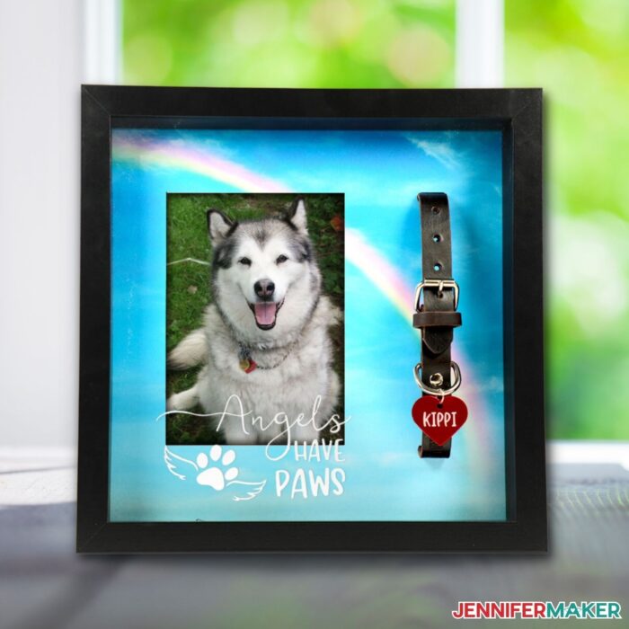 DIY Shadow Box with a photo of a puppy inside it with a collar next to it on a blue background