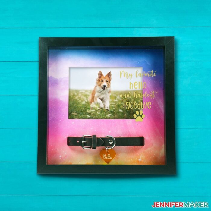 DIY Shadow Box with a photo of a dog and a collar underneath