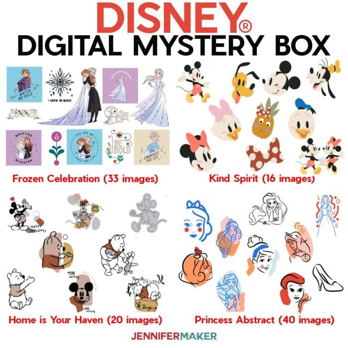 Disney Digital Mystery Box