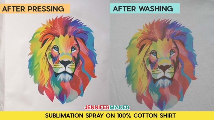 Not sure how long to heat press a sublimation shirt? Find out how with JenniferMaker's tutorial! Before and after pressing and washing photos of Jennifer's multicolored lion design, sublimated with sublimation spray on a 100% cotton shirt. Before image is slightly faded, after image is very faded. 