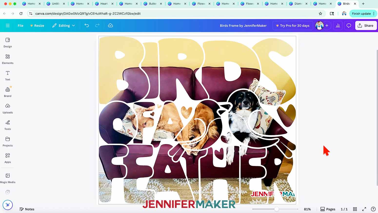 The ready to use Birds of a Feather design is a complex frame that holds a single image in Canva.