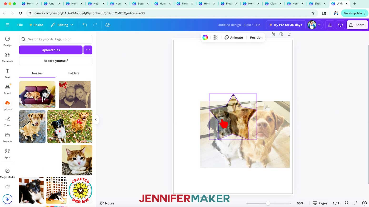 Add a photo to the new Frame Maker frame after adding the shape to the Canva design page.