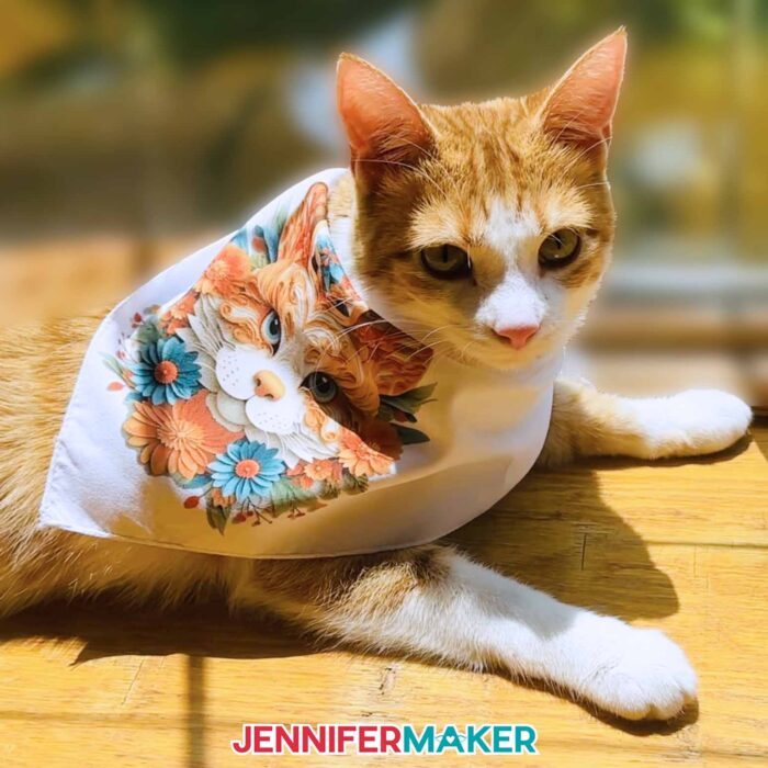 My orange and white tabby cat lying in the sun wearing a personalized pet bandana with a sublimated cat design.