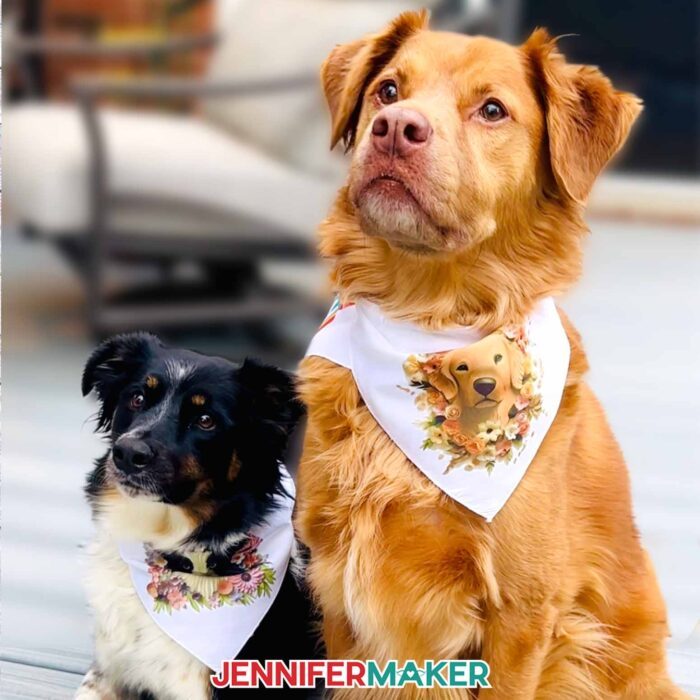 My two dogs wearing personalized pet bandanas in white polyester fabric with sublimated designs that look like them!