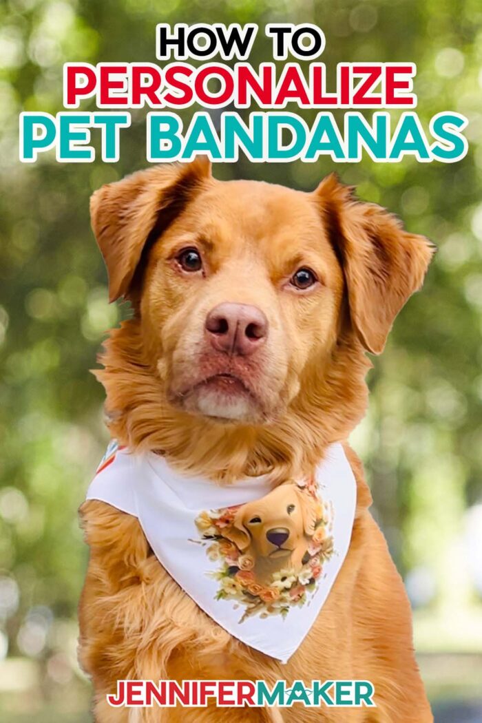 Pinterest link for personalized pet bandanas using HTV or sublimation with free designs by JenniferMaker.