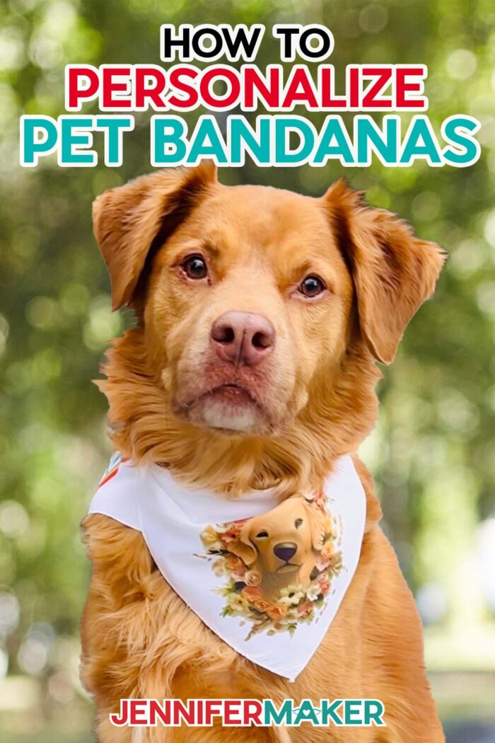 Custom pet clearance bandanas