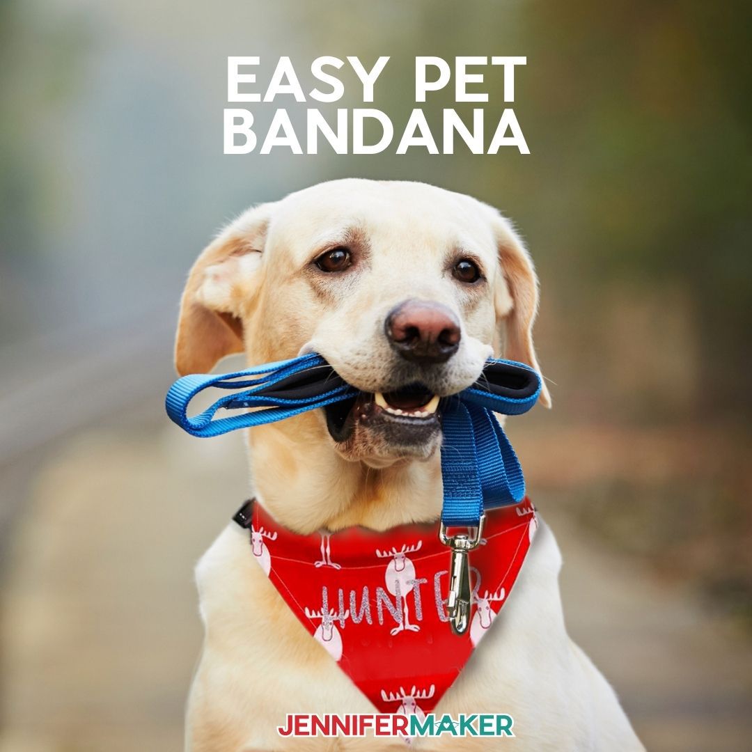 DIY Personalized Pet Bandanas