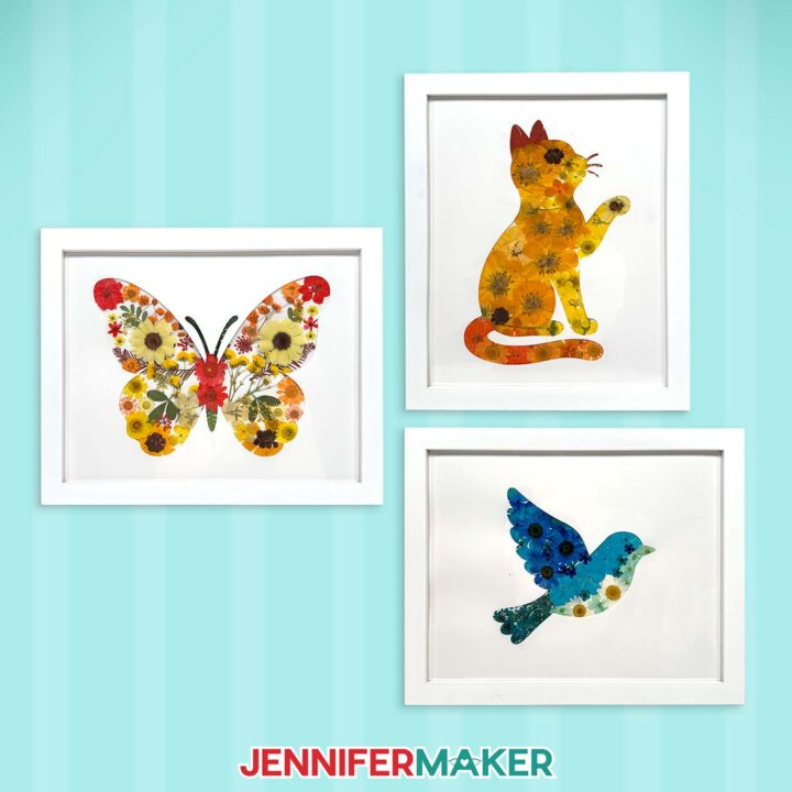 Stylized DFY Pressed Flower Silhouette designs dramed on a light teal wall.