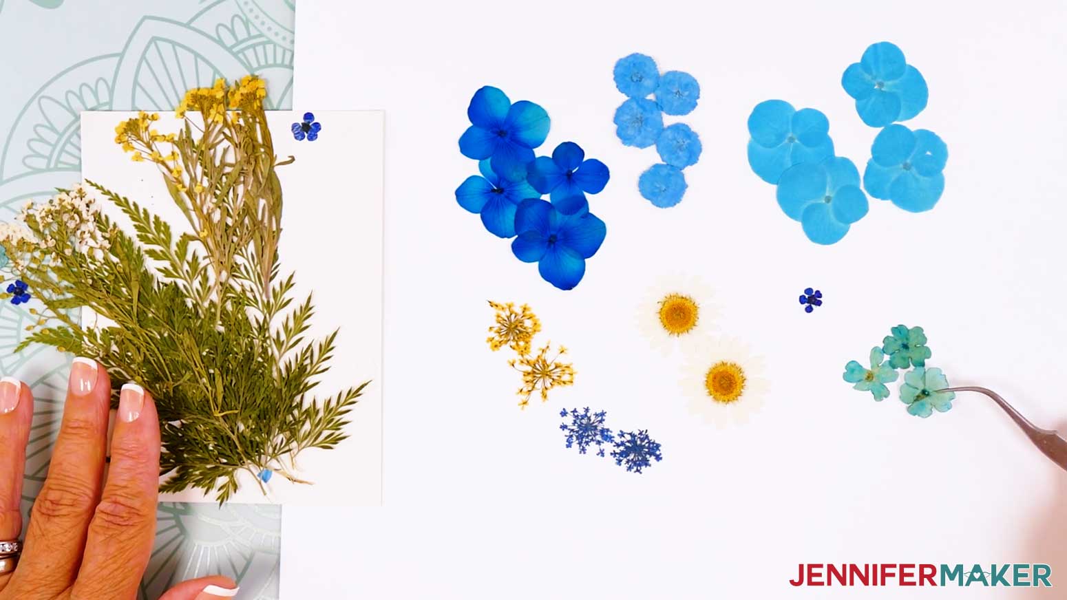 Sort the flower options by grouping like items.