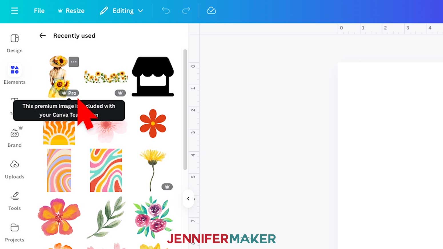 A crown icon with the word "Pro" on an element in Canva.