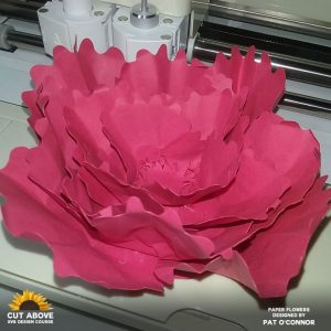 Paper Flower Designs That Will Blow You Away! - Jennifer Maker