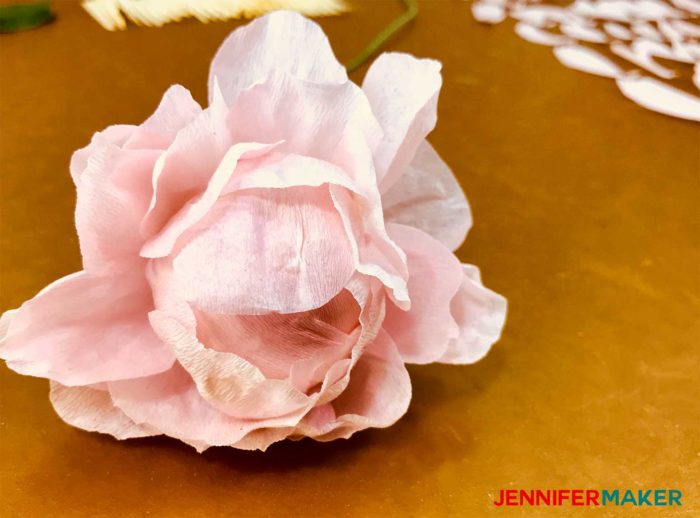 The first bloom of a double peony made with crepe paper