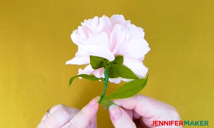 Crepe Paper Flowers: Cosmos, Peony, and Iris - Smithsonian Associates