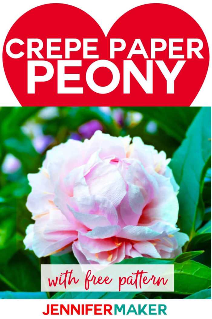 Download Make Crepe Paper Peony Flowers That Look Real! - Jennifer Maker