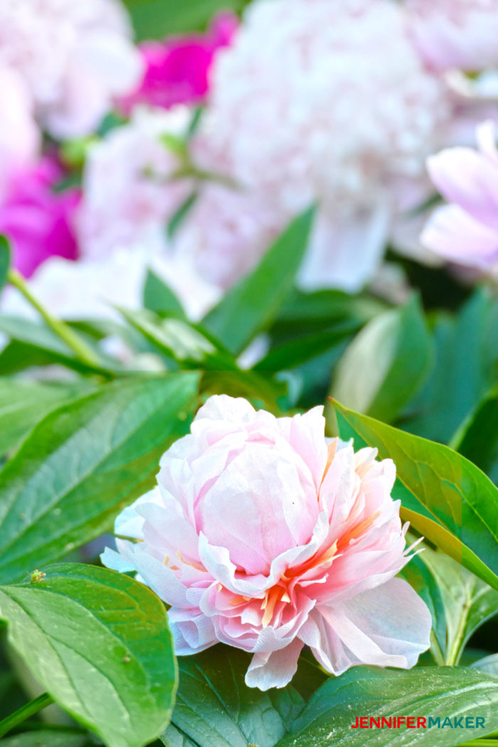 Make Crepe Paper Peony Flowers That Look Real! - Jennifer Maker