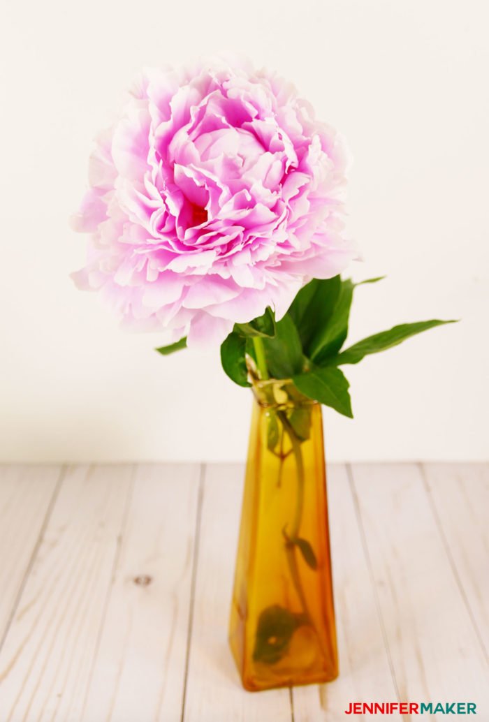 A delicate pink Sarah Bernhardt peony flower in a vase is my inspiration to make crepe paper peony flowers