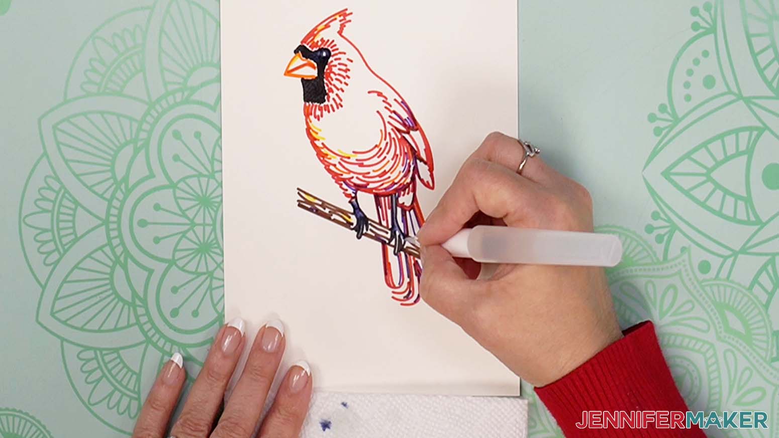 cardinal painting claws