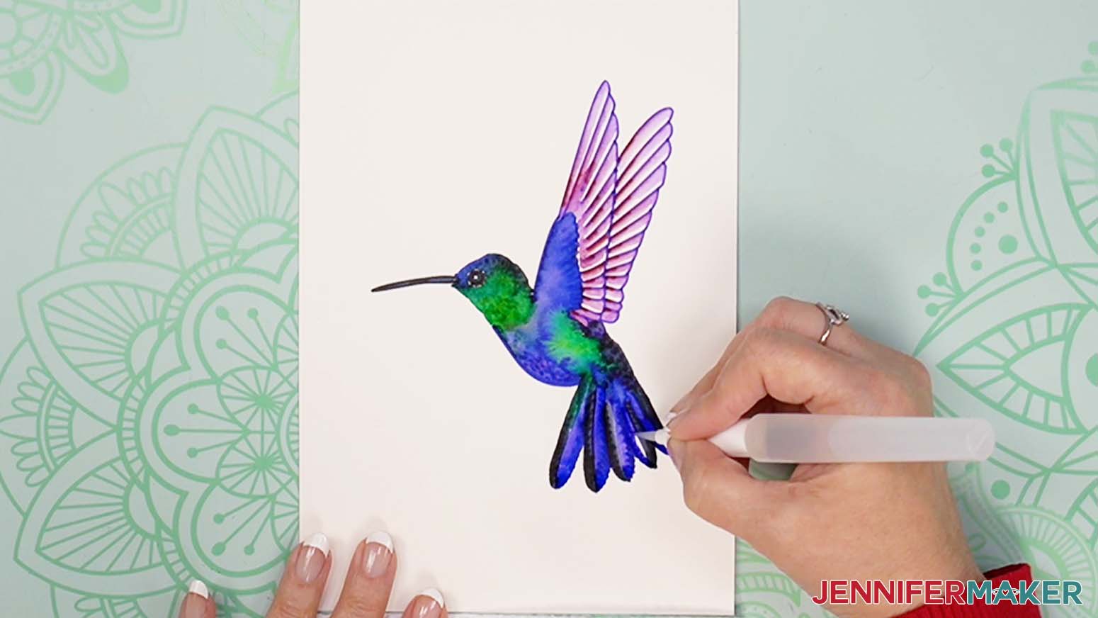 Hummingbird painting blue side of tail feathers