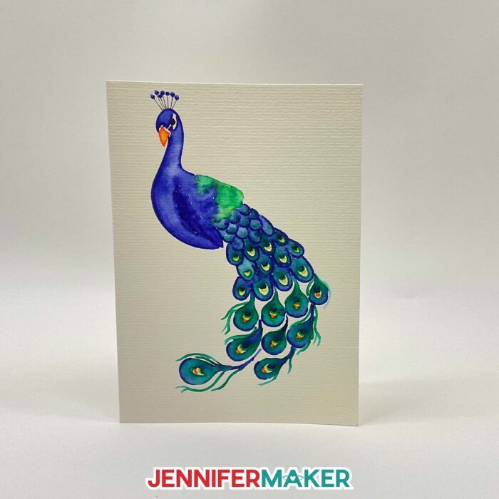 A DIY watercolor card featuring a peacock made with Cricut watercolor markers.