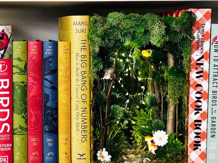 Miniature Library - Book Nook - Shadow Box