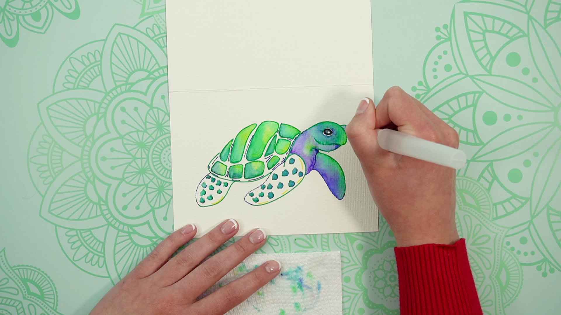 paint the sea turtle's head