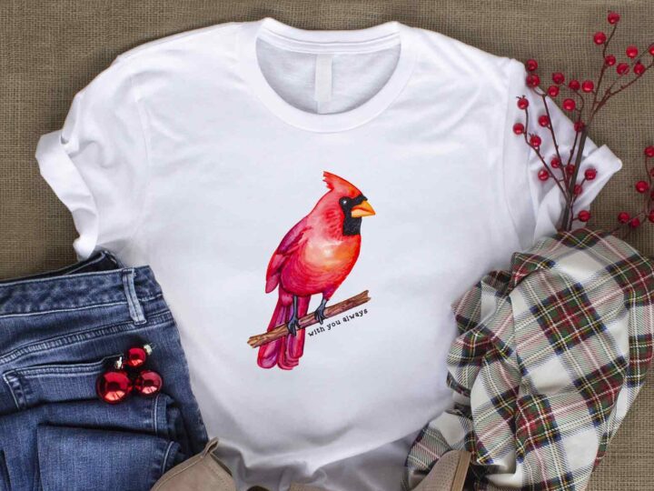 Red Cardinal Bird - T-shirt Design Png