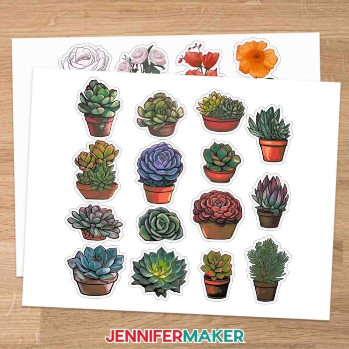 White sheets of illustrated succulent stickers made with the easy print and cut tool.