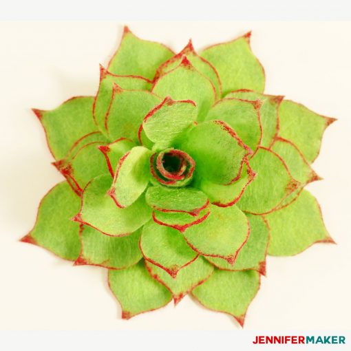 Download Felt Succulents Easy To Make And Won T Die On You Jennifer Maker