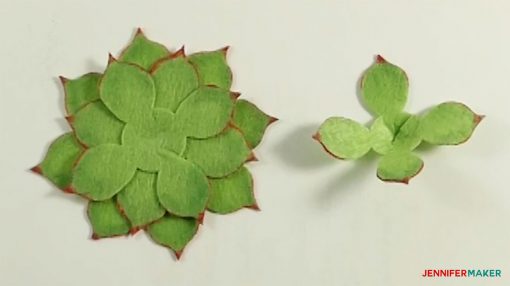 Make a cone shape in the next set of leaves