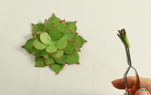 Roll up the bud for the center of the felt succulent