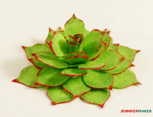 The finished felt succulent with red edges