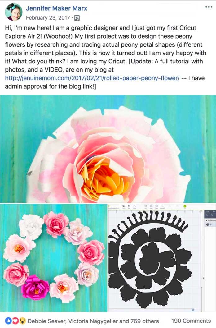 Facebook post of my paper peony