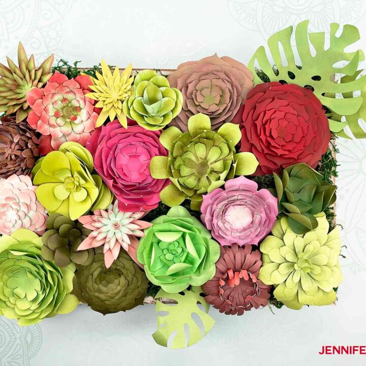 https://jennifermaker.com/wp-content/uploads/giant-paper-flower-jennifermaker-assembled-1-720x720.jpg