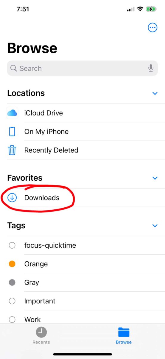Downloads folder in the Files app on the iPhone