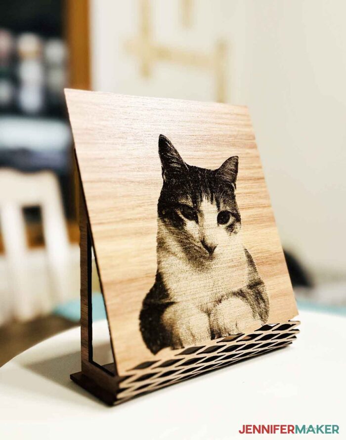 Engraved cat on a walnut plywood frame with kerfed edge and made on a Glowforge Aura craft laser