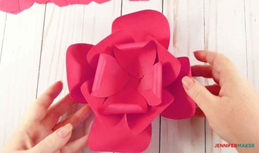 The three layers of four-petal groups of the giant paper flower