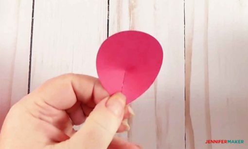 A pink petal cupped