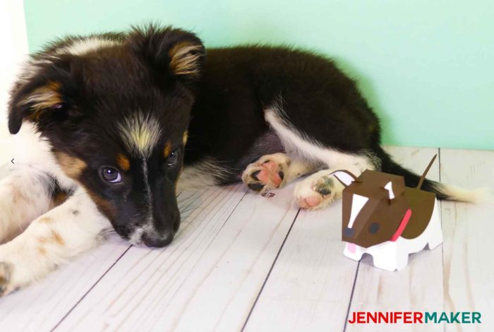 Paper puppy with real Border Collie puppy!